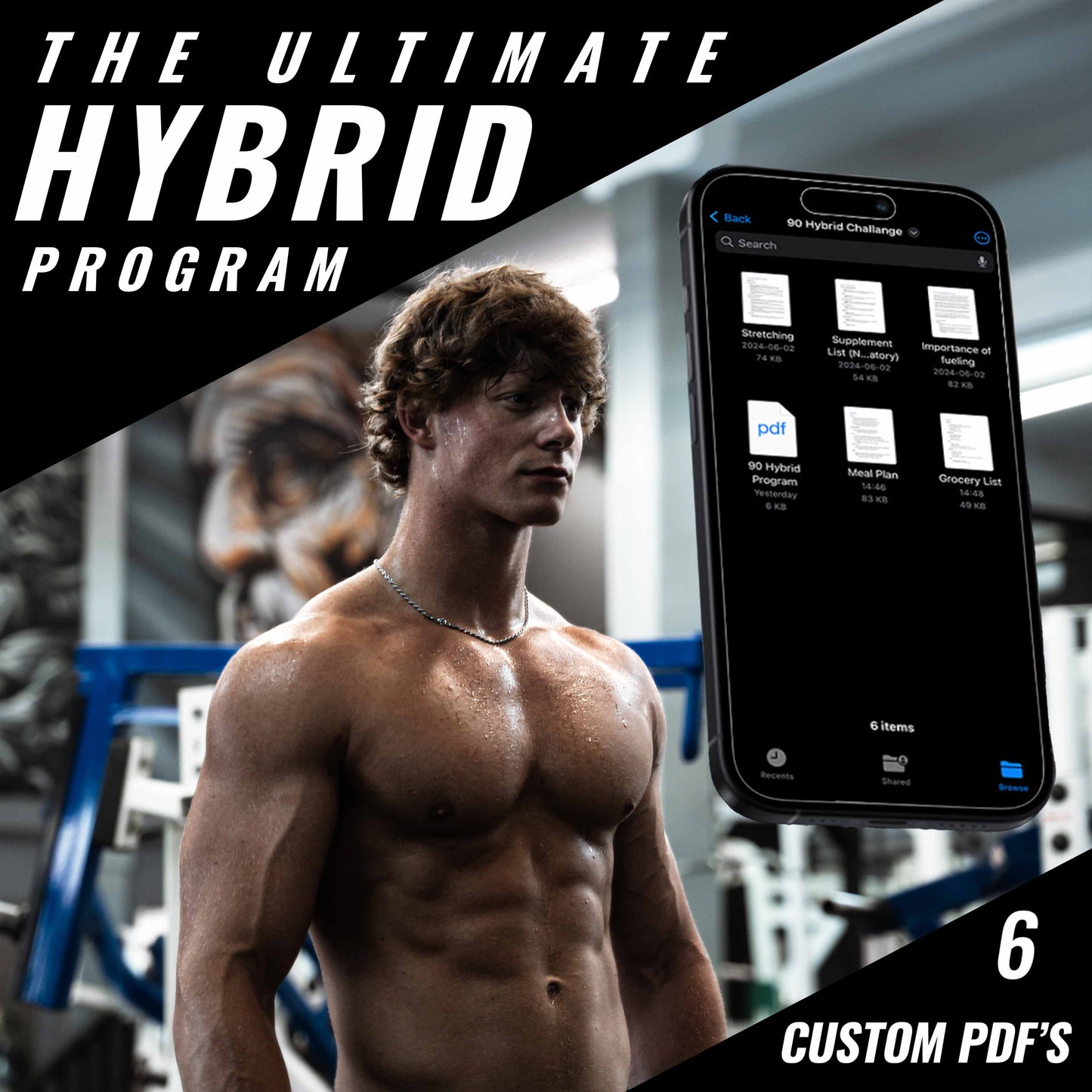 THE ULTIMATE HYBRID PROGRAM